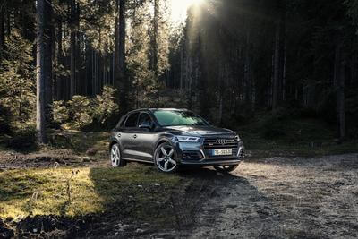 Audi SQ5 Waldshooting